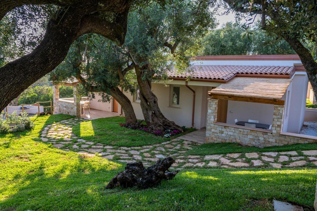 Il Mirto Residence Marina di Camerota Exteriér fotografie