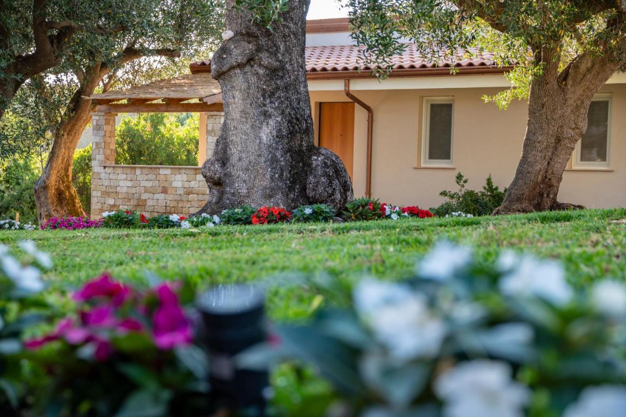 Il Mirto Residence Marina di Camerota Exteriér fotografie