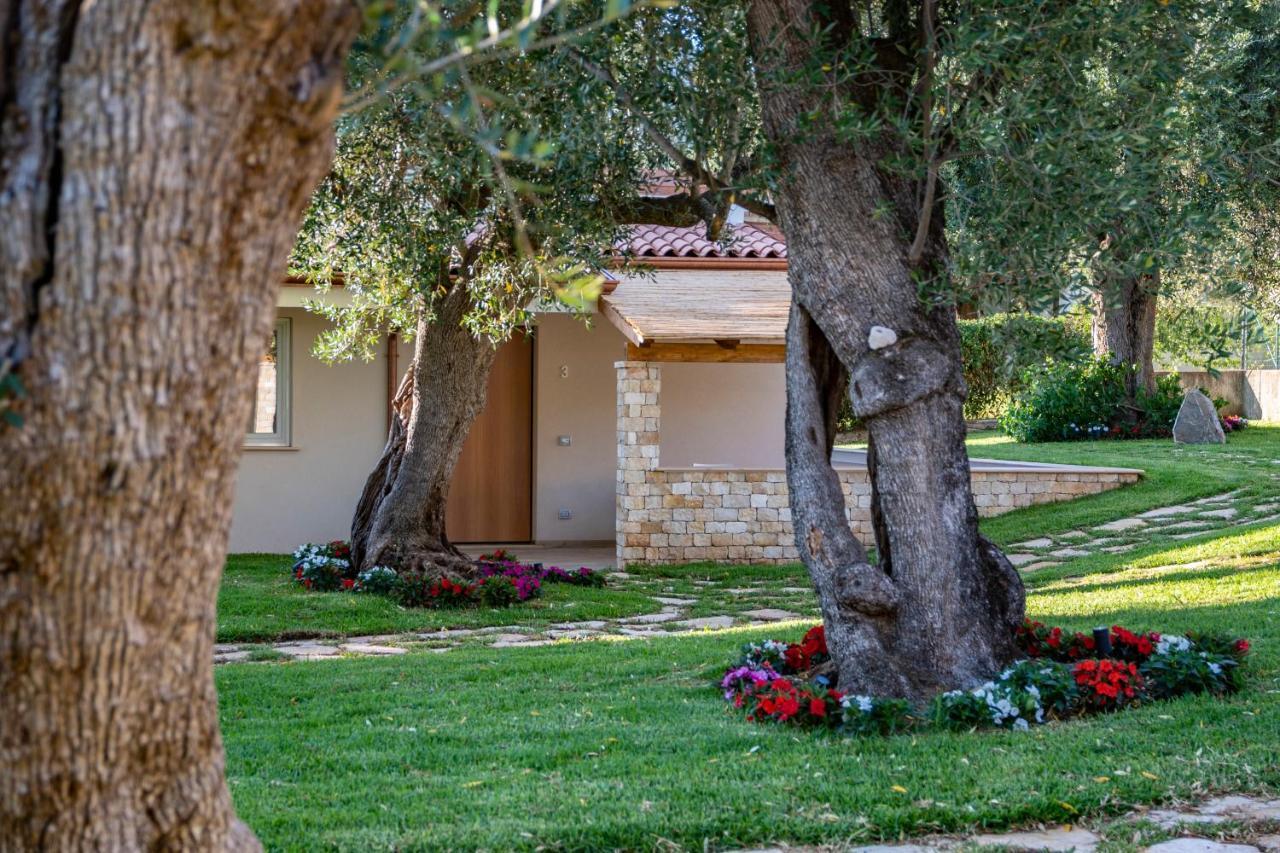Il Mirto Residence Marina di Camerota Exteriér fotografie