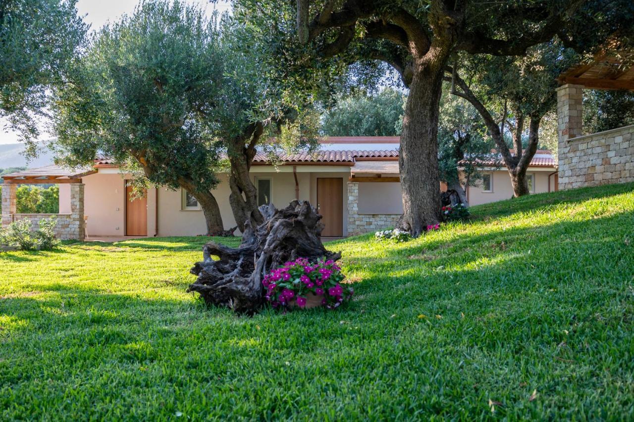 Il Mirto Residence Marina di Camerota Exteriér fotografie