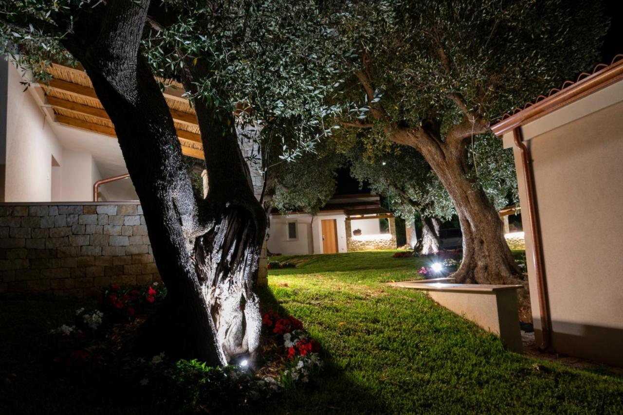 Il Mirto Residence Marina di Camerota Exteriér fotografie