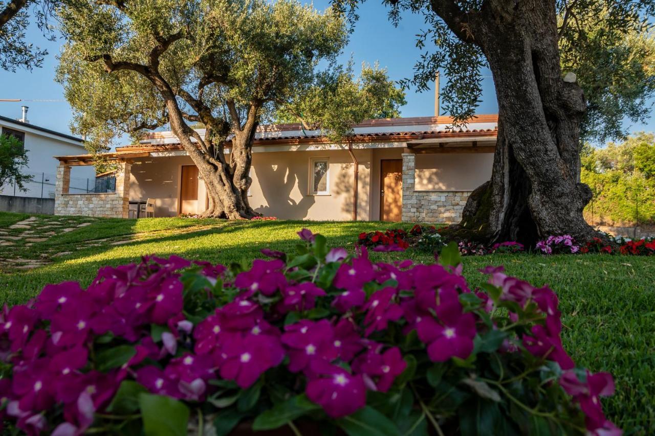 Il Mirto Residence Marina di Camerota Exteriér fotografie
